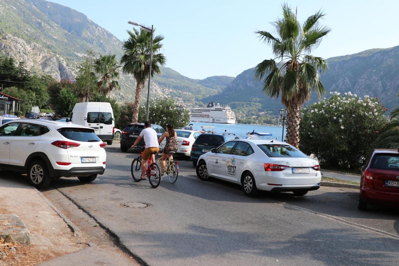 Apartment Sandrita Kotor Dış mekan fotoğraf